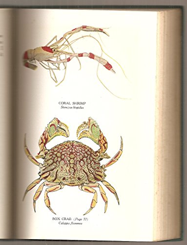 THE BURGESS SEASHORE BOOK FOR CHILDREN. With Il... [Unknown] B009AEVQL4 Book Cover