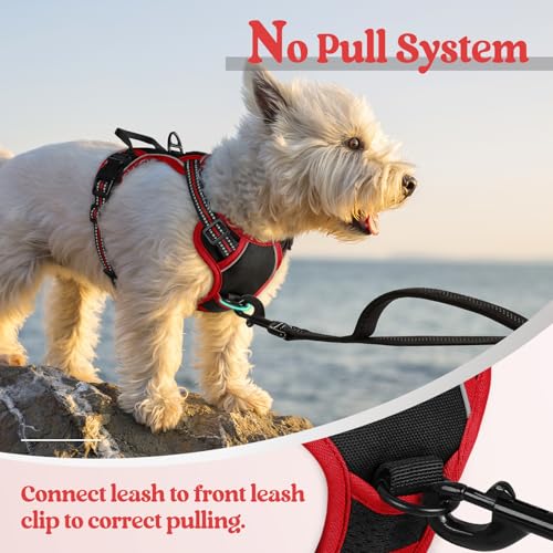Image of rabbitgoo Dog Harness No Pull with 2 Leash Clips, Adjustable Soft Padded, Reflective Oxford No Choke Pet Vest with Easy Control Handle for Puppy, Black & Red, XS
