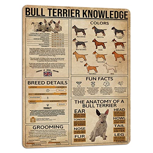 Image of PAIION Bull Terrier Dog Knowledge Metal Signs Anatomy Color Breed Poster Farm School Education Pet Shop Club Home Garage Wall Decoration 16x12 Inch