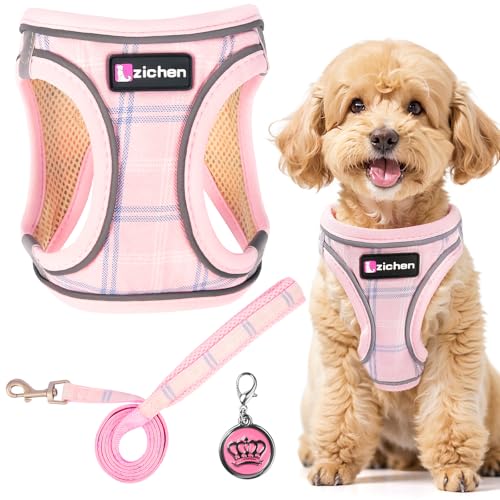 Imbracatura per cani di piccola taglia con guinzaglio, pettorina regolabile per cuccioli, catarifrangente, traspirante, per passeggiate, allenamento, attività all'aperto
