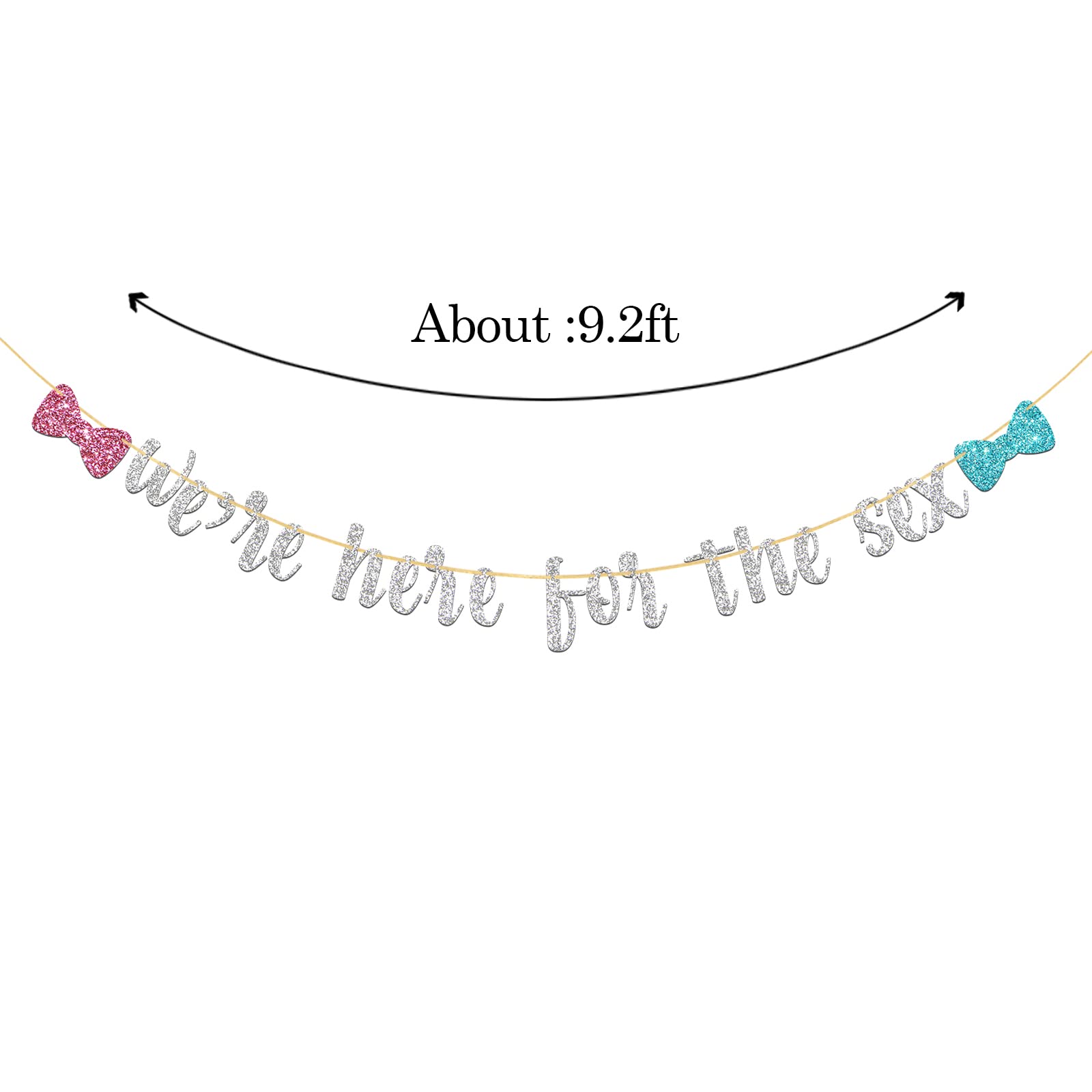 Glitzer-Banner „We‘re Here For The Sex“ – Perfekt Für Babyparty