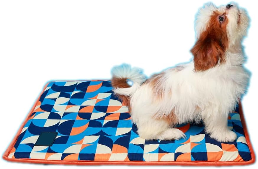 FURRFAB Trippy Circles Doogy Mat-Small