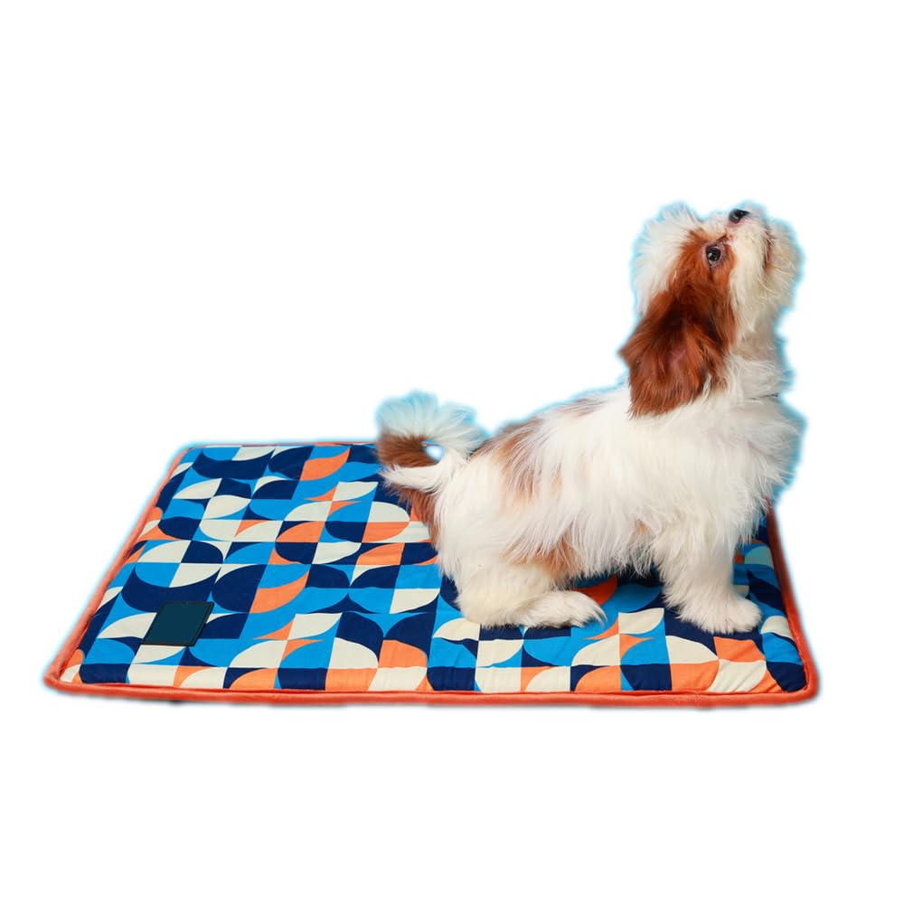 FURRFAB Trippy Circles Doogy Mat-Small