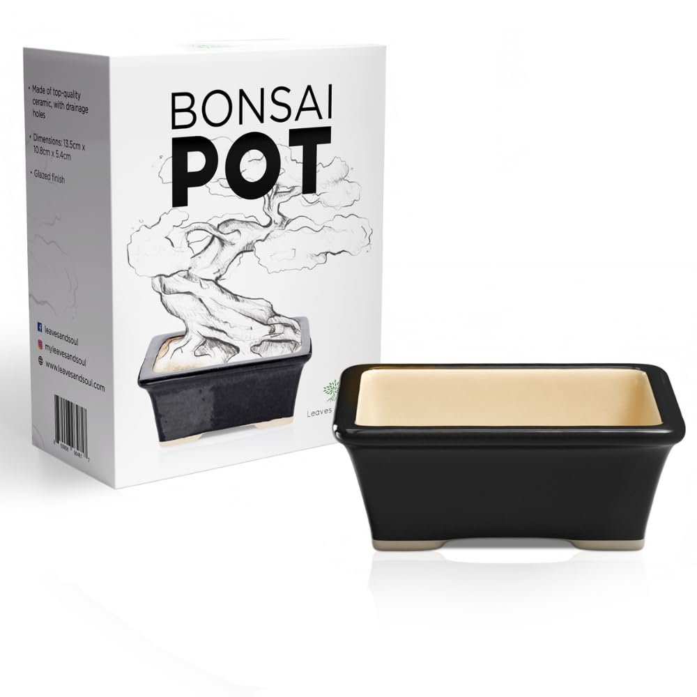 Amazon.com : Glazed Ceramic Bonsai Pot - Ceramic Planter for