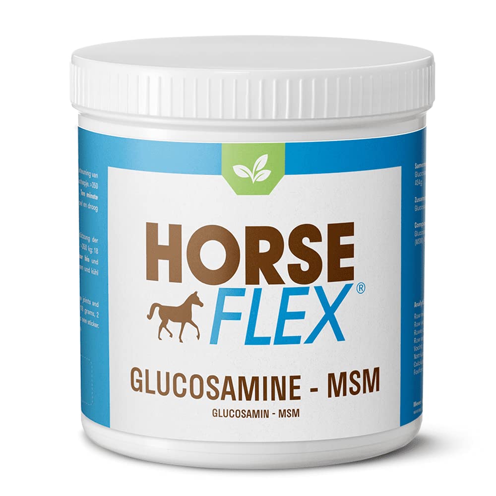 Horse Flex Glucosamine-MSM powder for horses to support the joints and hooves - 3000 g
