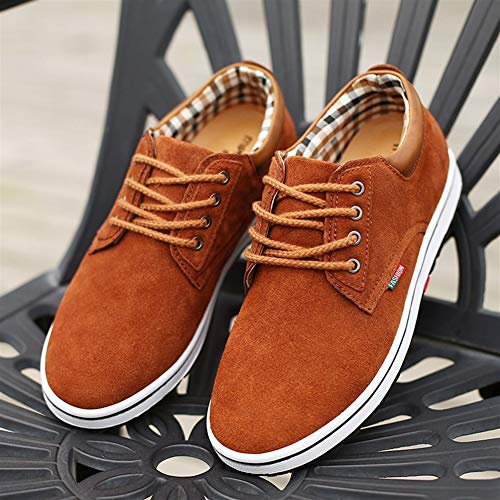 Dhs 12674 Bola Ping Pong Dhs C/10 40Mm 1 Estrela (Plastico)