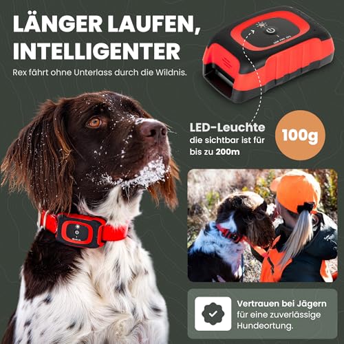 MiniFinder Rex Hundetracker – Intelligentes, wasserdichtes Hundehalsband mit LED-Licht, Bellanzeige, App & Echtzeit-Ortung – Robuster GPS-Tracker für Jagdhunde mit weltweiter Reichweite