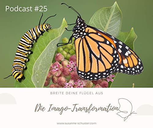 Podcast #25 - Die Imago-Transformation