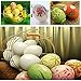 SallyFashion Wooden Fake Eggs, 9 Pieces 2 Colors Wooden Egg Wood Eggs for Crafts Home Decor