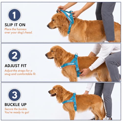 Image of Spark Paws No Pull Front Clip Dog Harness - Easy On, Padded and Lightweight