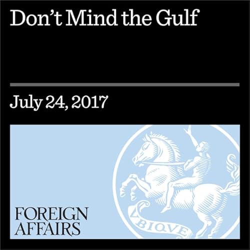 Don't Mind the Gulf Audiolibro Por Aaron David Miller, Richard Sokolsky arte de portada