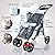 4 Wheel Double Pet Stroller for Dogs and Cats, Great for Twin or Multiple pet Travel (Silver Grey)