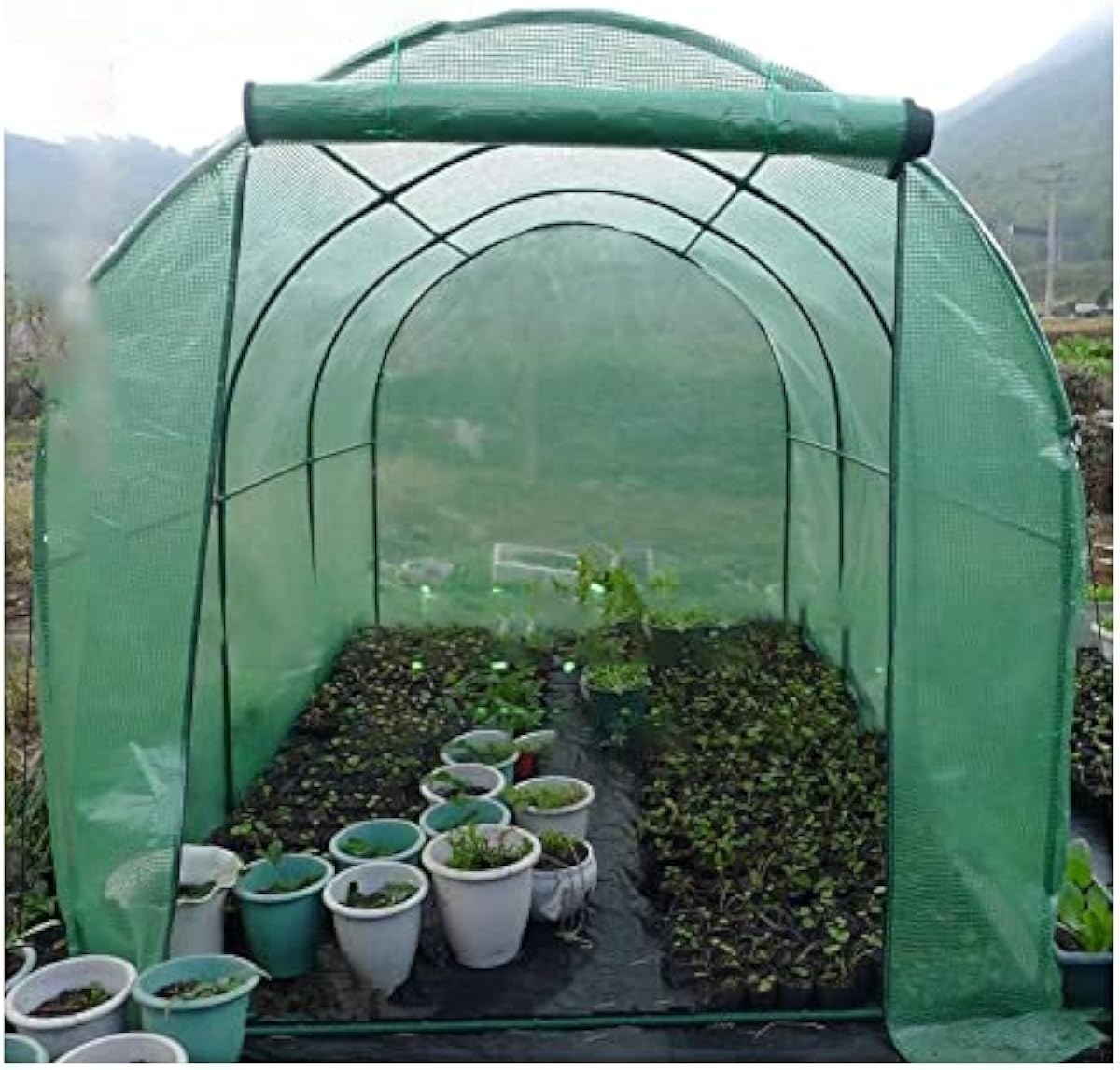 激安買取東京 ビニールハウス 温室 大きな携帯用ウォークインガーデン温室トンネル フルーツ 野菜 植物 花 2m 3m 4m 5m 6mのための屋外のパティオホットハウス Color Green Size 400x0x0cm Diy 工具 ガーデン 最安値通販 Www Littleshopp Com 激安買取東京 ビニールハウス 温室 大きな携帯用ウォークインガーデン温室トンネル フルーツ 野菜 植物 花 2m 3m 4m 5m 6mのための屋外のパティオホットハウス Color Green Size 400x0x0cm Diy 工具 ガーデン 最安値通販 Www Littleshopp Com