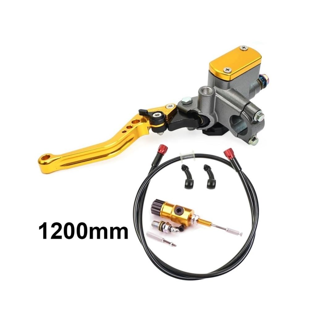 Flessibile olio Tubo Freno A Pedale Posteriore Atv Dirt Pit Bike Tubi Intrecciati Leva Cilindro Principale Del Motociclo Frizione Idraulica Tubo Flessibile Dell'olio Moto Tubo Idraulico Freno(Gold,09)
