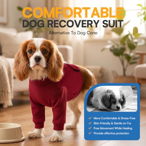 Image of Queenmore Dog Surgery Recovery Sleeve Front Legs, Breathable Dog Recovery Sleeve, Elbow Protector Pet Cone Alternative After Surgery, Burgundy, M
