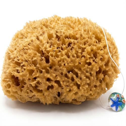 tom&pat® Spugna marina naturale • con cordino e...