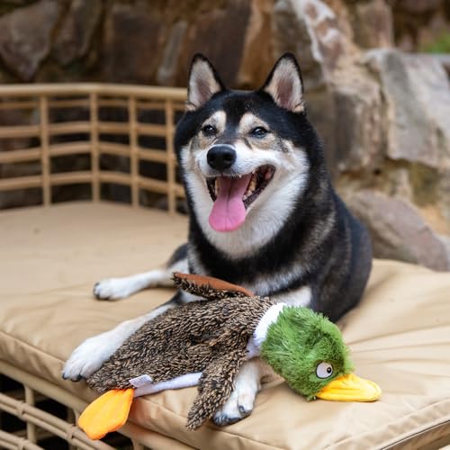 Image of Best Pet Supplies Squeaky Dog Toys with Soft Durable Fabric for Small, Medium and Large Pets Interactive Toy for Indoor Play, Supports Active Biting and Play - 4 Figures, Medium