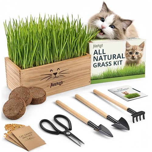 Cat Grass Kit for Indoor Cats – x4 Seed Packets...