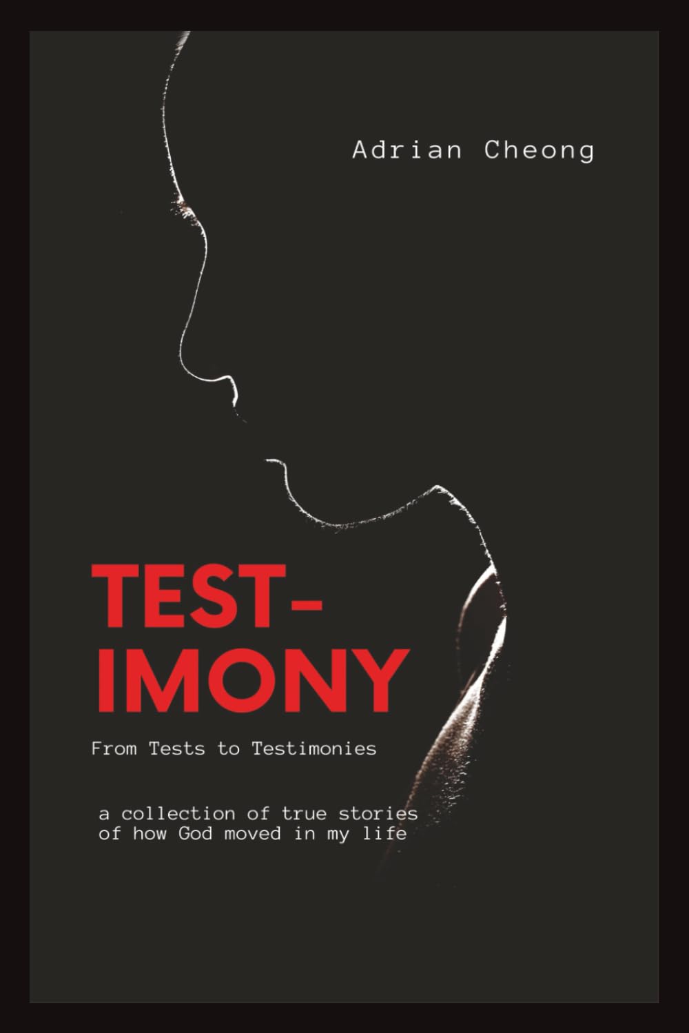 Test-imony: A surprising, faith-filled journey through real answered prayers — and a simple, practical guide to unlocking your own. Honest, uplifting, ... who’s ready to see God move in their life.