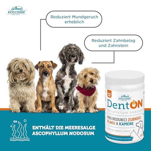 VITAR Veterinae Zahnpflege Hund - Zahnsteinentferner Hund, DentON Dental Pulver für Hunde 50g, Entfernt Plaque, Auch für Katzen geeignet, Mundpflege gegen Mundgeruch, mit der Alge Ascophyllum Nodosum