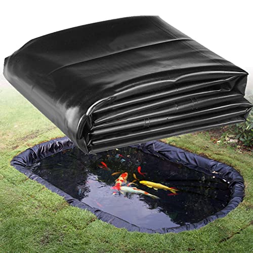 List of Top Ten Best Fish For Duck Pond Top Picks 2023 Reviews
