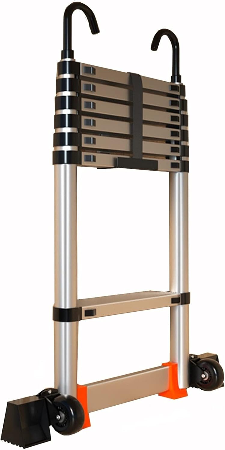 ビカクシダ セット OMG リドレイドワーフ ホルタミーシンなど