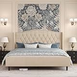Belffin Queen Bed Frame with Headboard, Luxury Upholstered Velvet Platform Bed with Wingback, Button Tufted & Nailhead Trim, Anti-Slide Tall Footboard, No Box Spring Needed, Noise-Free, Beige