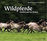 dülmen  Dülmener Wildpferde: Freiheit auf vier Beinen
