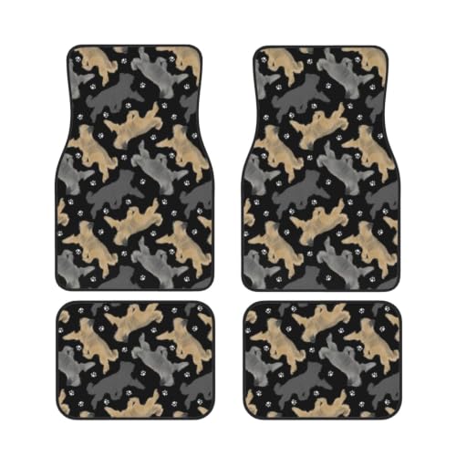 Alfombrillas para coche Briards y huellas ideales para viajes familiares y paseos con mascotas