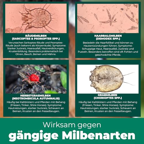 Silberkraft Milbenspray Pferde 500 ml, Effektiver Milbenschutz & Parasitenabwehr, Soforthilfe bei Juckreiz, Langzeitschutz gegen Milben, Flöhe & Läuse, wirksame Formel zur Insektenabwehr