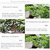 Simulated Green Pine Tree Office Welcome Pine Plant Ornaments Indoor Potted Plants Bonsai Bionic Pine Tree(1mx0.9m)