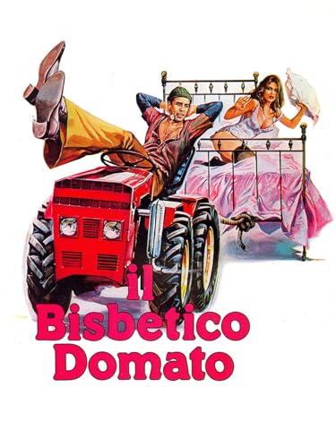  Il bisbetico domato