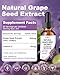 Natural Grape Seed Extract Drops-300 mg Grape Seed Extract Liquid Supplement - Maximum Strength Vitis Vinifera Seed Tincture, Standardized to 95% Polyphenols, Non-GMO, Gluten Free (60ml)