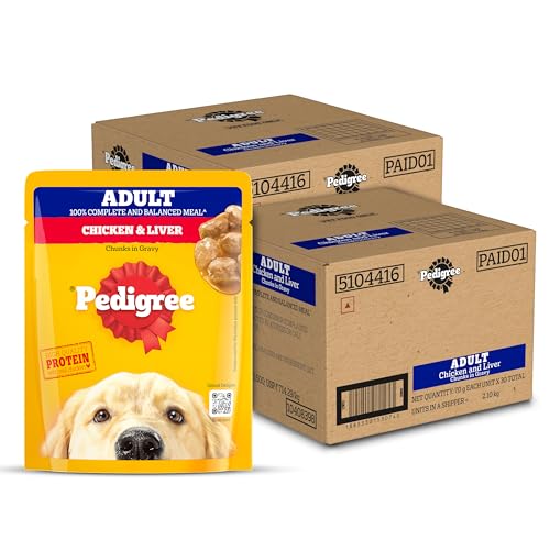 Image of Pedigree Adult Wet Dog Food, Chicken & Liver Chunks in Gravy, 70 g (Pack of 60), Complete & Balanced Meal for Adult Dogs