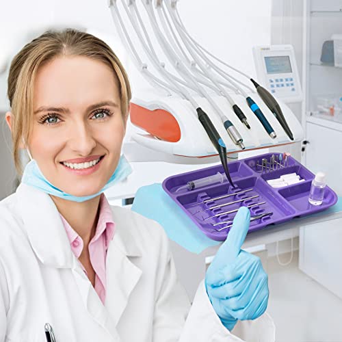 Dental Instrument Tray Separate Tray Autoclavable Plastic Divided Trays Size B For Medical Tattoo And Beauty Salon  (1, Purple) #TOP6