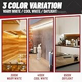 BULBMASTER F8T5 CW Fluorescent Bulbs 12 Inch - F8 T5 8W Cool White 4100K 12" Under Cabinet Light Bulbs Linear T5 380 Lumens - Under The Counter Small Fluorescent Light Bulb - Pack of 6 - Image 7