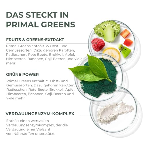 Primal Harvest Super Greens Pulver mit 27 Pflanzenstoffen, inkl. Spirulina & Weizengras, 30 Portionen (1 Bag, ursprünglicher Geschmack)