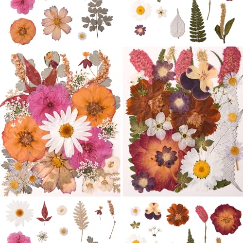 Image of 100 PCS Cream Color Pressed Dried Flowers & Leaves | Real Natural Dried Flowers, With Tweezers, For Resin, Candle, Jewelry, Scrapbooking & DIY Crafts