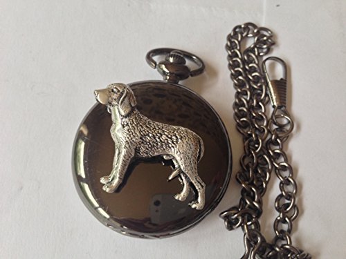 Montre de poche gousset quartz Sheffield avec motif Chien Courant Finlandais coffret cadeau homme