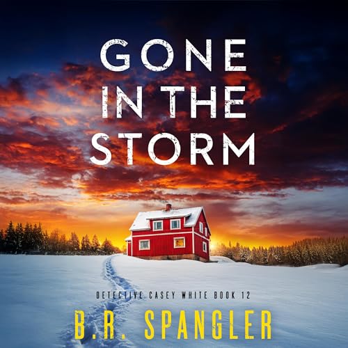 Gone in the Storm by B.R. Spangler