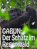  Gabun: Der Schatz im Regenwald