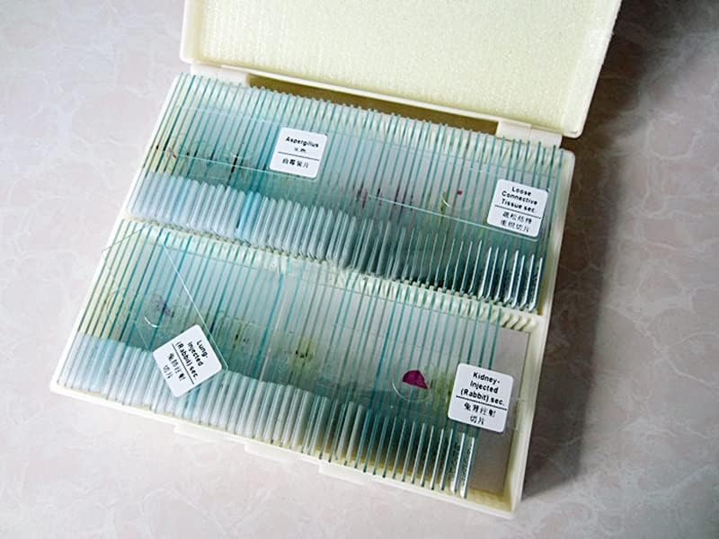 顕微鏡アクセサリーキット 200 個の準備された標本ガラス顕微鏡スライド 顕微鏡スライド