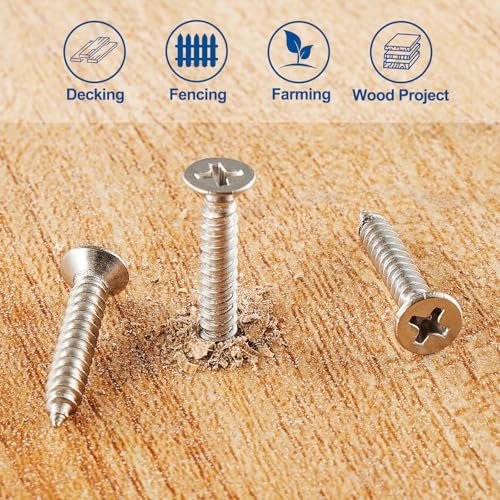 #8×1/2′′ Tornillo para madera 400 unidades acero inoxidable miniatura 6