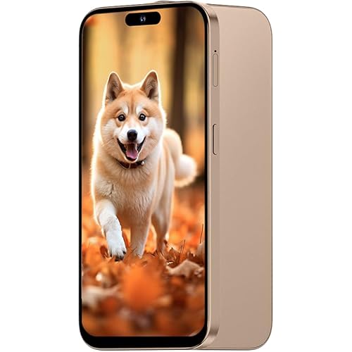 Unlocked 3G Mobile Phone, 6.6-inch Screen 16GB ROM (SD to 128GB), Dual SIM Dual Cameras, Android 10.0 OS, Face ID Cell Phones (Gold)