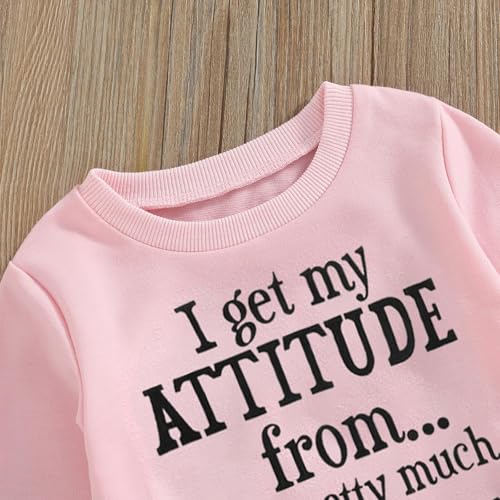 Fernvia Toddler Girls Clothes 2T 3T 4T 5T Fall Outfits Baby Pullover Sweatshirt & Camouflage Pants Set Kids Winter Sweatsuit - Image 5