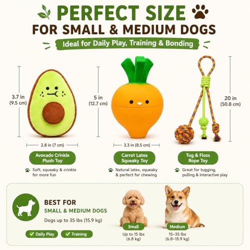 Juguete para perros interactivo set 5 piezas miniatura 4