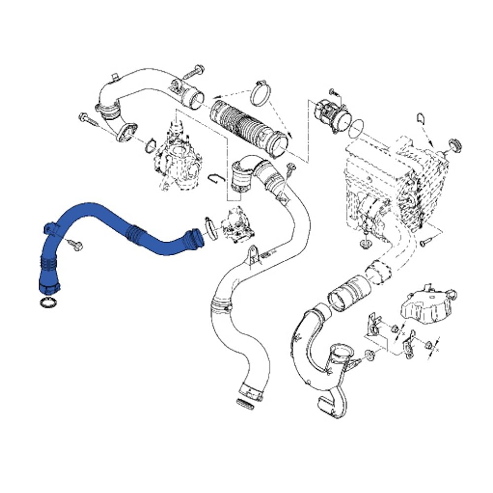 Wieln - Manguito intercooler compatible con Renault Scenic III, Megane III 1.9 DCI 8200804000 Tubo turbo aire de plástico