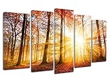 Décoration murale: Découvrez toute notre gamme de cadres déco design sur notre boutique et laissez libre cours à vos envies. C'est aussi une idée cadeau pour offrir à ses proches qui seront séduit par cette toile déco hyper tendance !
