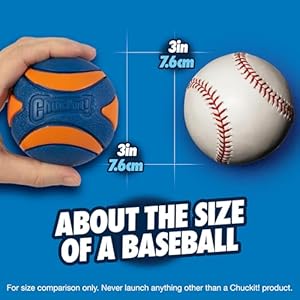 Chuckit Ultra Squeaker Ball Dog Toy Large 3 Inch 1 Pack for Large Breeds  Cucciolini Doodles Chuckit ultra squeaker ball dog toy large 3 inch 1 pack for large breeds   cucciolini doodles