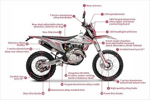 Trailmaster JHL Pro-Series LX300 Dual Sport